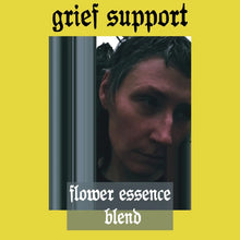 Load image into Gallery viewer, Grief Support Essence Blend