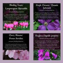 Load image into Gallery viewer, Grief Support Essence Blend