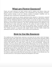 Load image into Gallery viewer, Flower Essence Single 10ml