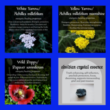 Load image into Gallery viewer, Psychick Protection Essence Blend