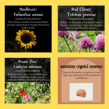 Load image into Gallery viewer, hearten&sustain Essence Blend