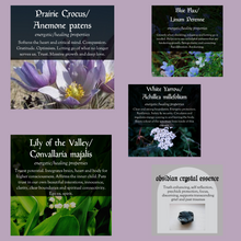 Load image into Gallery viewer, Builder ov Boundaries Essence Blend