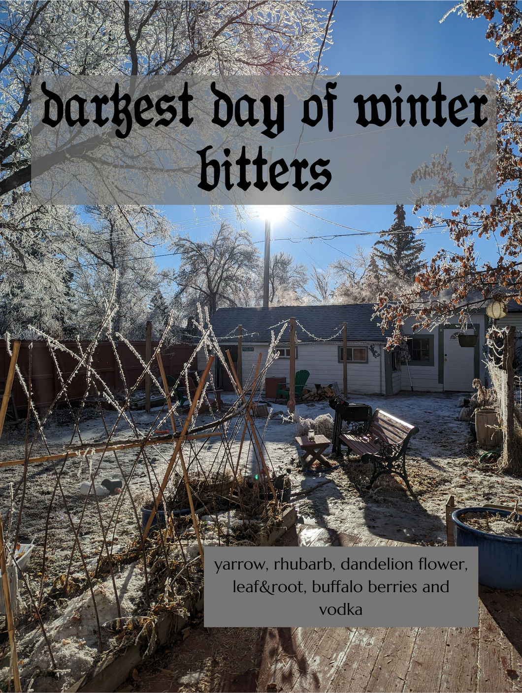 darkest day of winter bitters